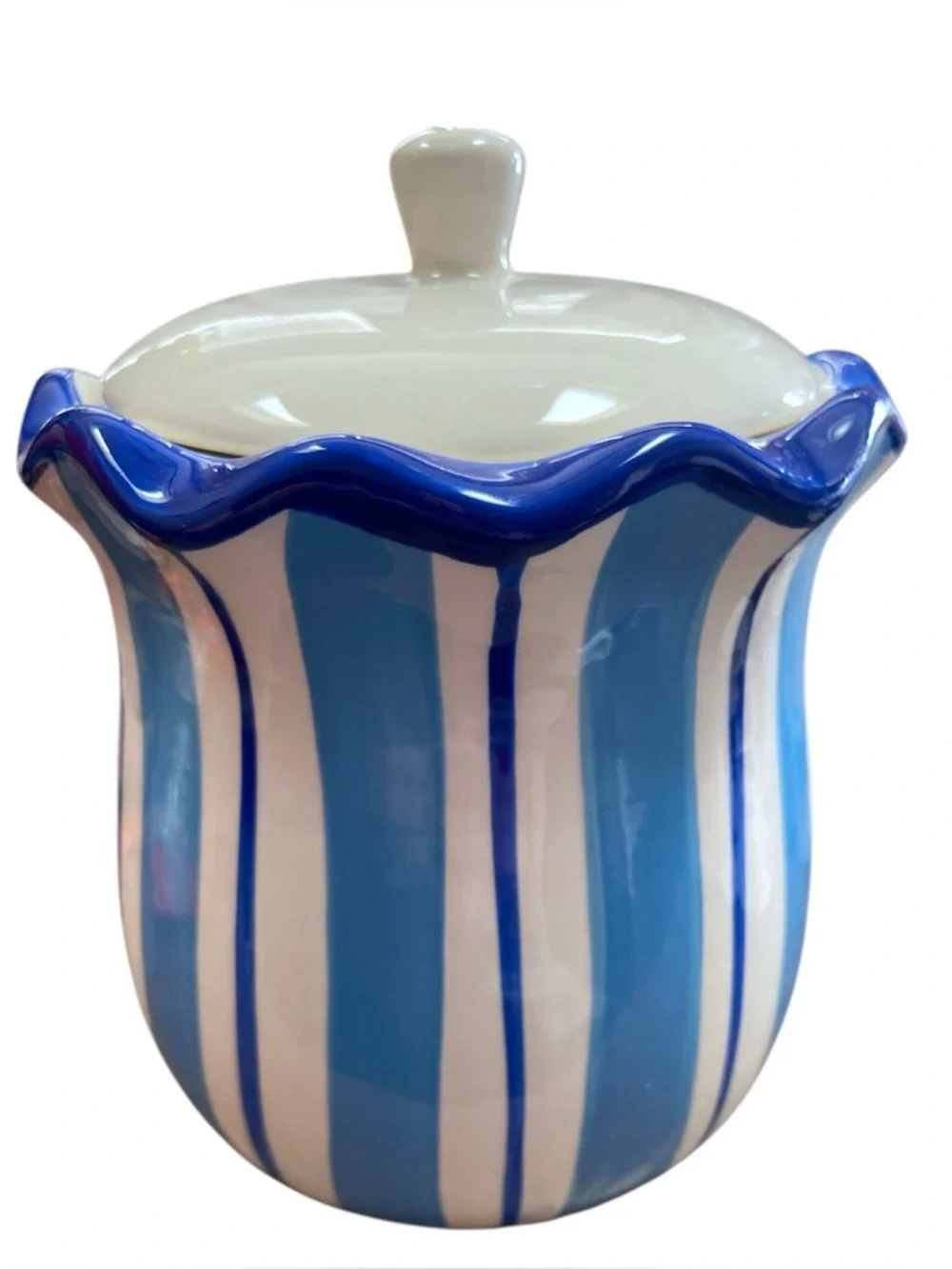 Hand Painted Blue White Ceramic Kitchen Storage Jar Canister Lid 6” Tall NWT